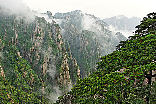 催春水货到付款C1B8D97C5-18975